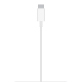 Apple MagSafe Reisladers MHXH3ZM/A