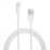 Apple Lightning auf USB Kabel (0.5 m) ME29...