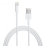 APPLE Lightning auf USB Kabel (0.5 m) ME29...